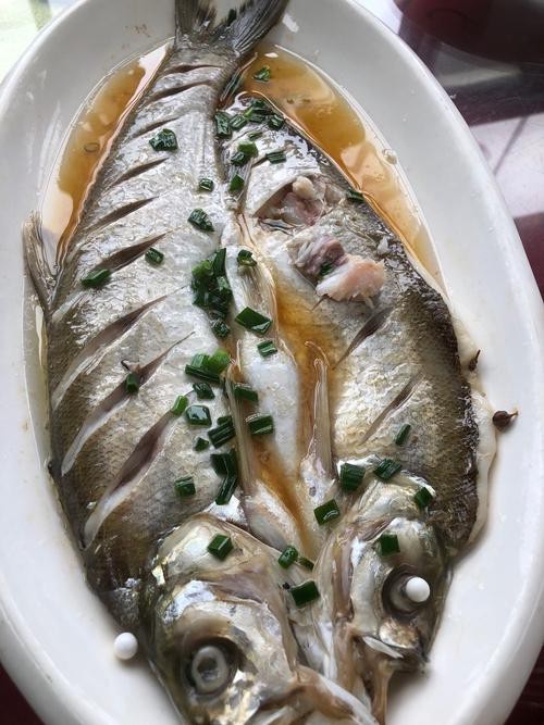 白龍魚吃什么最好吃