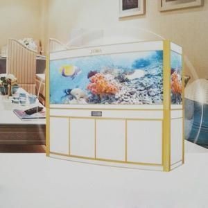 美式魚缸：南美風格魚缸水質管理方案南美風格魚缸水質管理方案