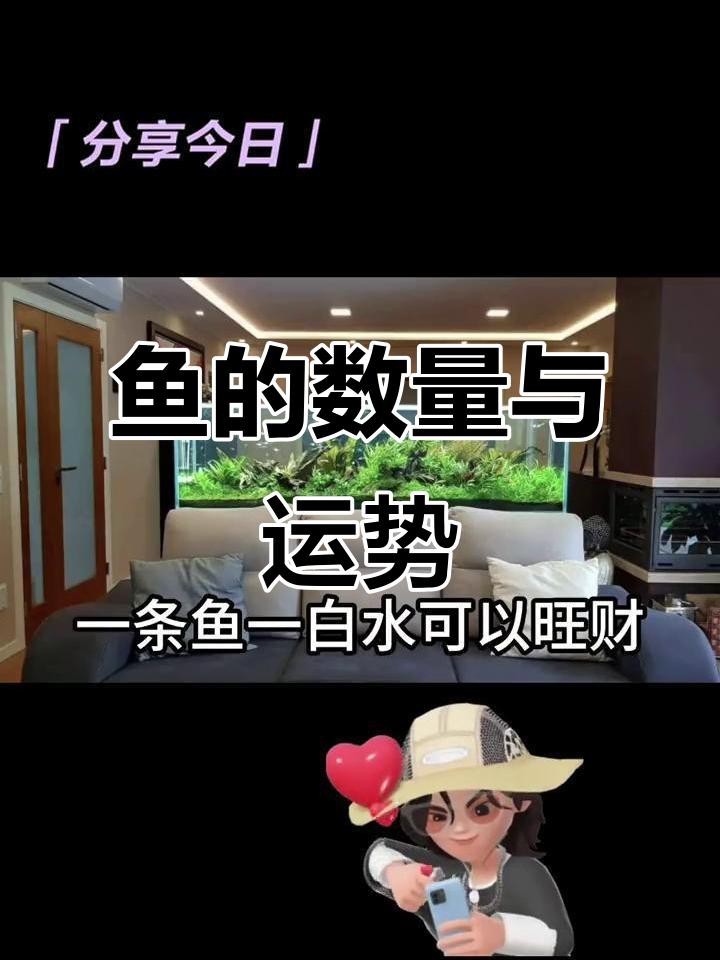 地圖魚養幾條最旺財