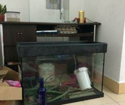 廣州魚缸制作廠家排名前十名（廣州魚缸制作廠家排名）