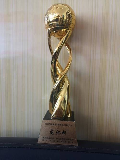龍杯比賽的獲獎證書樣本 2025長城杯龍魚大賽 第14張 龍杯比賽的獲獎證書樣本 龍杯比賽的獲獎證書樣本 2025長城杯龍魚大賽 第14張