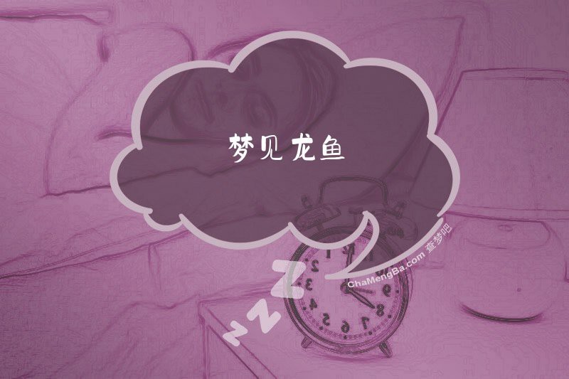 龍魚代表什么暗語