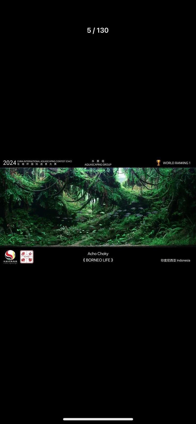 “長城杯”國際造景大賽的獲獎名單