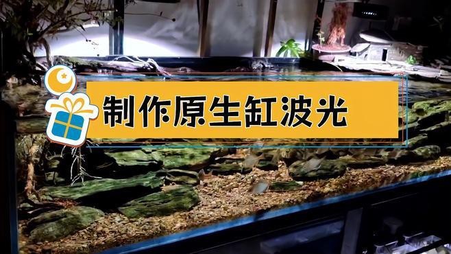 如何在拍攝中避免鳳凰紅龍魚的反光？