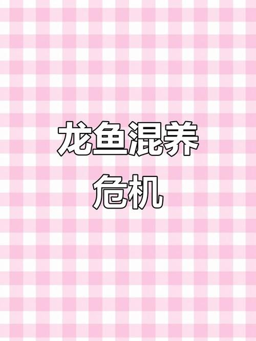 火龍魚可以和熱帶魚混養嗎圖片大全視頻 龍魚百科 第28張 火龍魚可以和熱帶魚混養嗎圖片大全視頻 火龍魚可以和熱帶魚混養嗎圖片大全視頻 龍魚百科 第28張