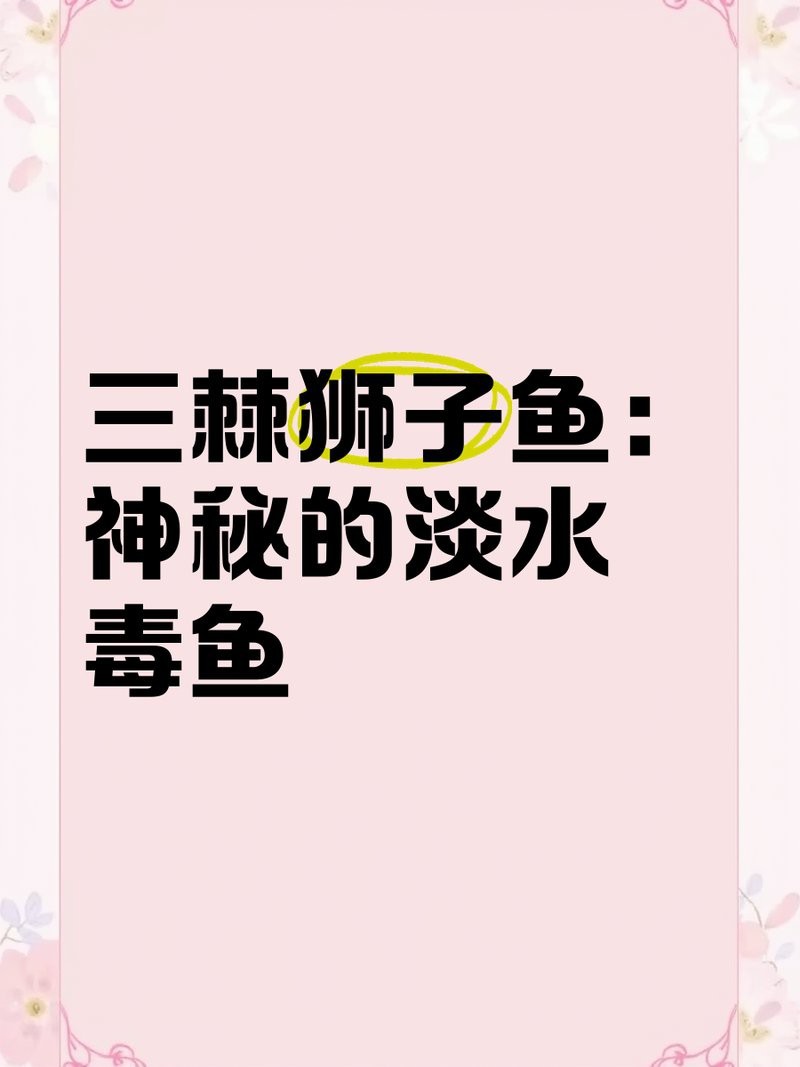淡水石頭魚 淡水石頭魚 龍魚論壇 第4張