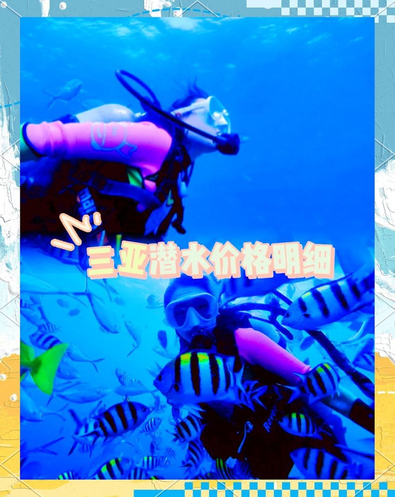 三亞潛水多少錢一位 三亞潛水多少錢一位 龍魚論壇 第4張