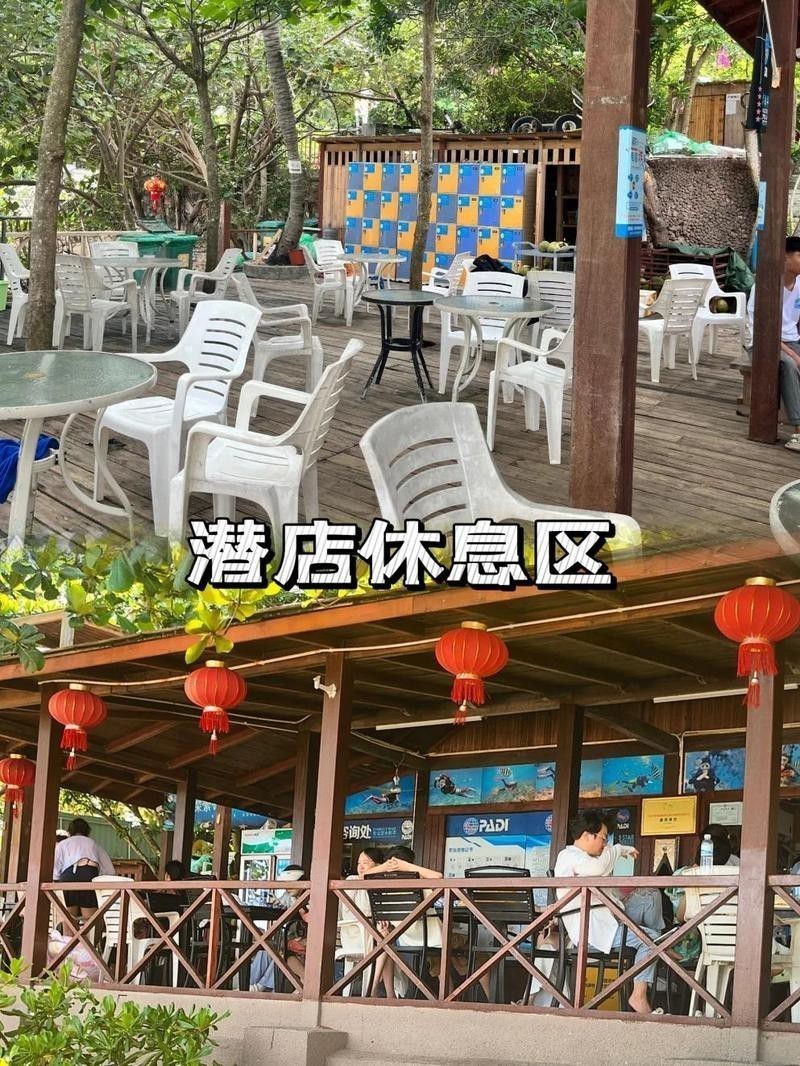 三亞潛水多少錢一位 三亞潛水多少錢一位 龍魚論壇 第10張