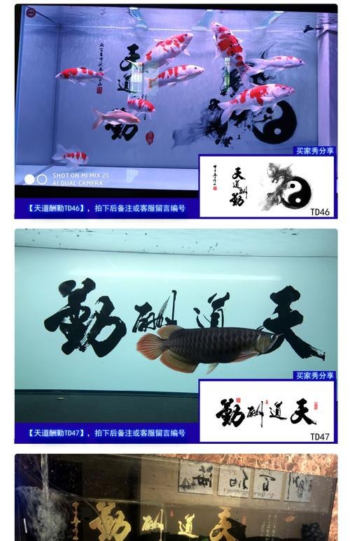 龍魚缸背景圖100張