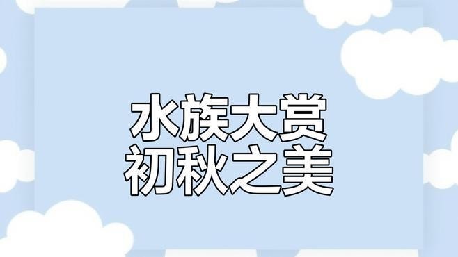 國際造景大賽的詳細獲獎名單