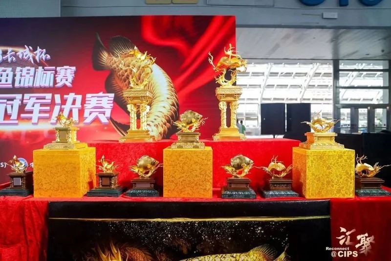 2025年長城杯龍魚比賽何時公布結果？