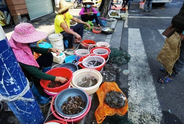 廣州最大的魚塘漁場