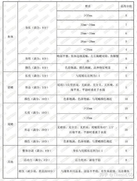 孔雀魚比賽評分細則具體是什么？