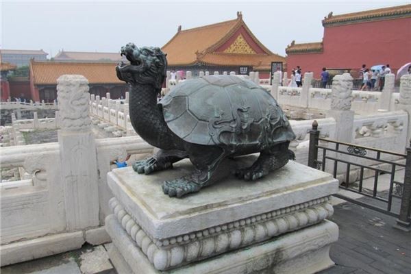 哪些屬相不適合擺放龍龜？