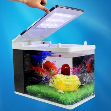 藍寶魚缸1.5米的多少錢：5米魚缸適合養哪些魚類，藍寶魚缸與其他品牌的對比，如何維護大型魚缸水質