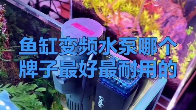 龍魚水泵最建議買的三個品牌