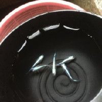 虎魚(yú)苗為什么那么難養(yǎng) 虎魚(yú)苗為什么那么難養(yǎng) 龍魚(yú)論壇 第11張