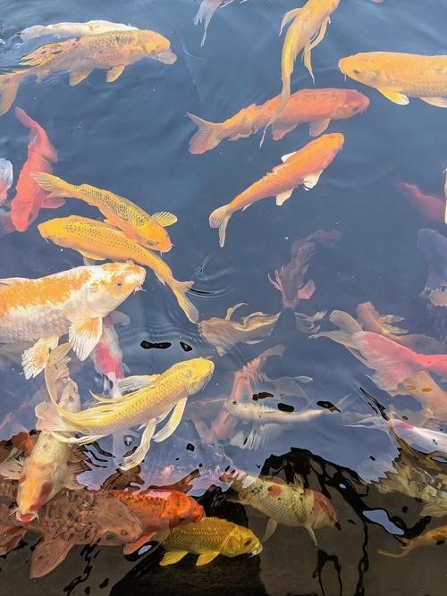 北京水族展