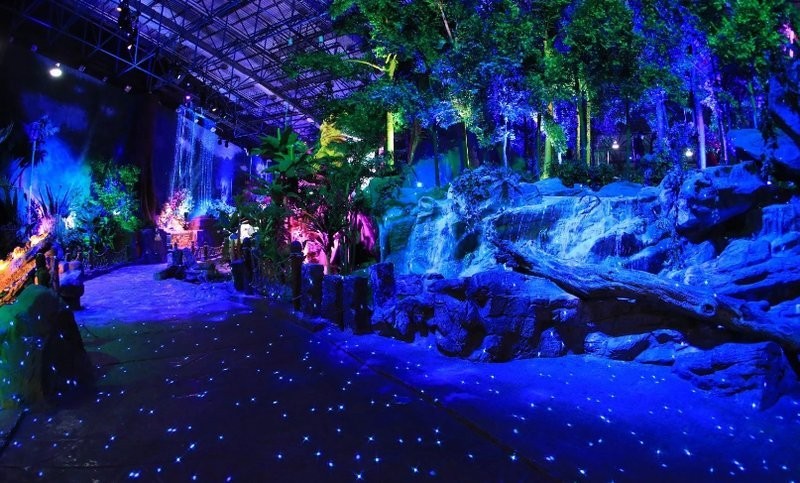 北京水族展