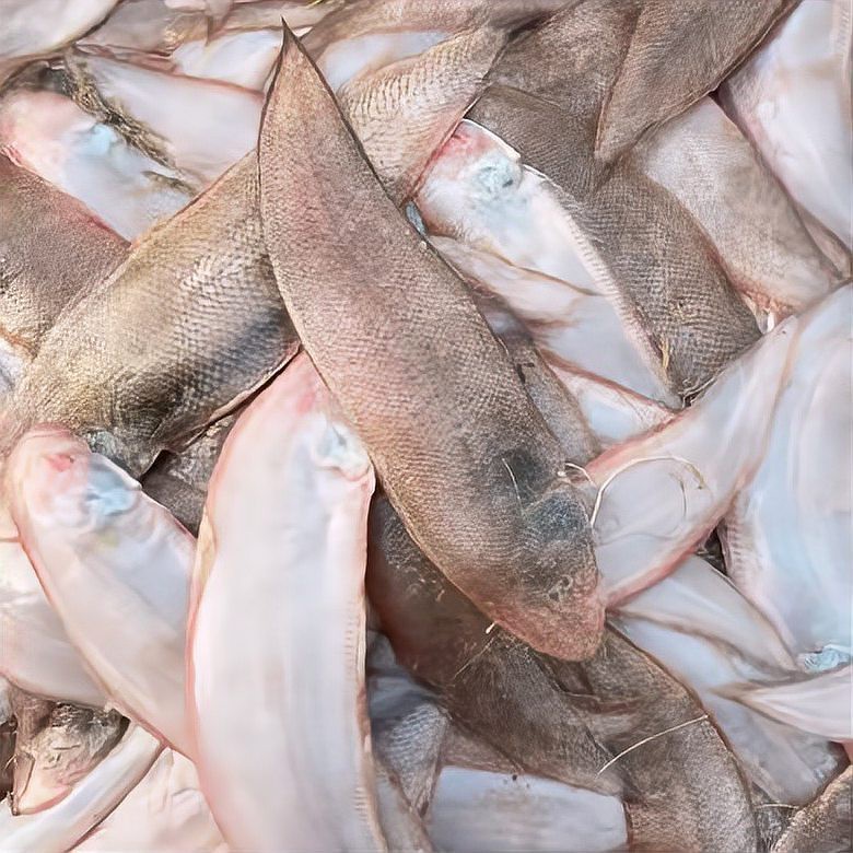 小龍魚刺多嗎
