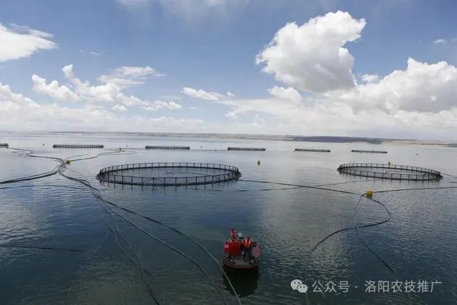 2024年漁具展覽有哪些創(chuàng)新技術？