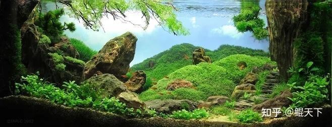 2021年長城杯世界金魚錦標賽在哪里舉辦？