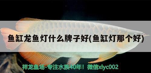 廣州市海珠區南華水族器材社（廣州市海珠區南華水族器材社區電話） 廣州市海珠區南華水族器材社（廣州市海珠區南華水族器材社區電話） 全國水族館企業名錄
