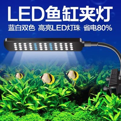 魚缸照明的科學原理：diy魚缸照明系統diy魚缸照明的科學原理了解魚缸照明的科學原理