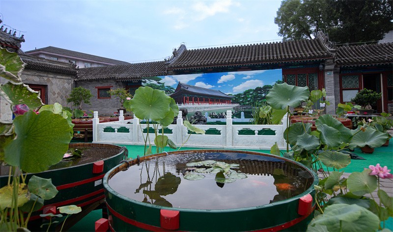 金龍魚白點病的癥狀有哪些？，金龍魚白點病如何治療