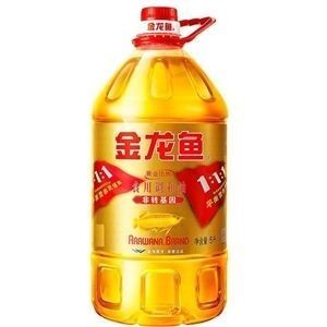 銀龍魚缸最小尺寸是多大的（銀龍魚缸最小尺寸是多大的魚）