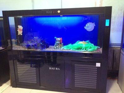 廣漢魚缸定制店（廣漢地區幾家提供魚缸定制服務的店鋪）