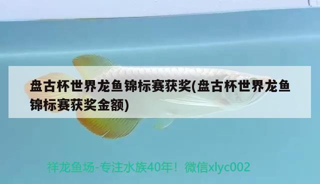 陽泉市城區(qū)勇強觀賞魚店（陽泉市城區(qū)勇強觀賞魚店地址）