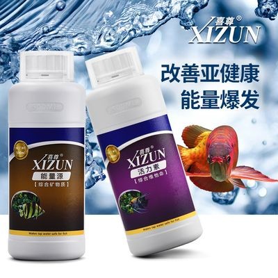 魚缸活力素有用嗎：如何判斷魚缸活力素效果