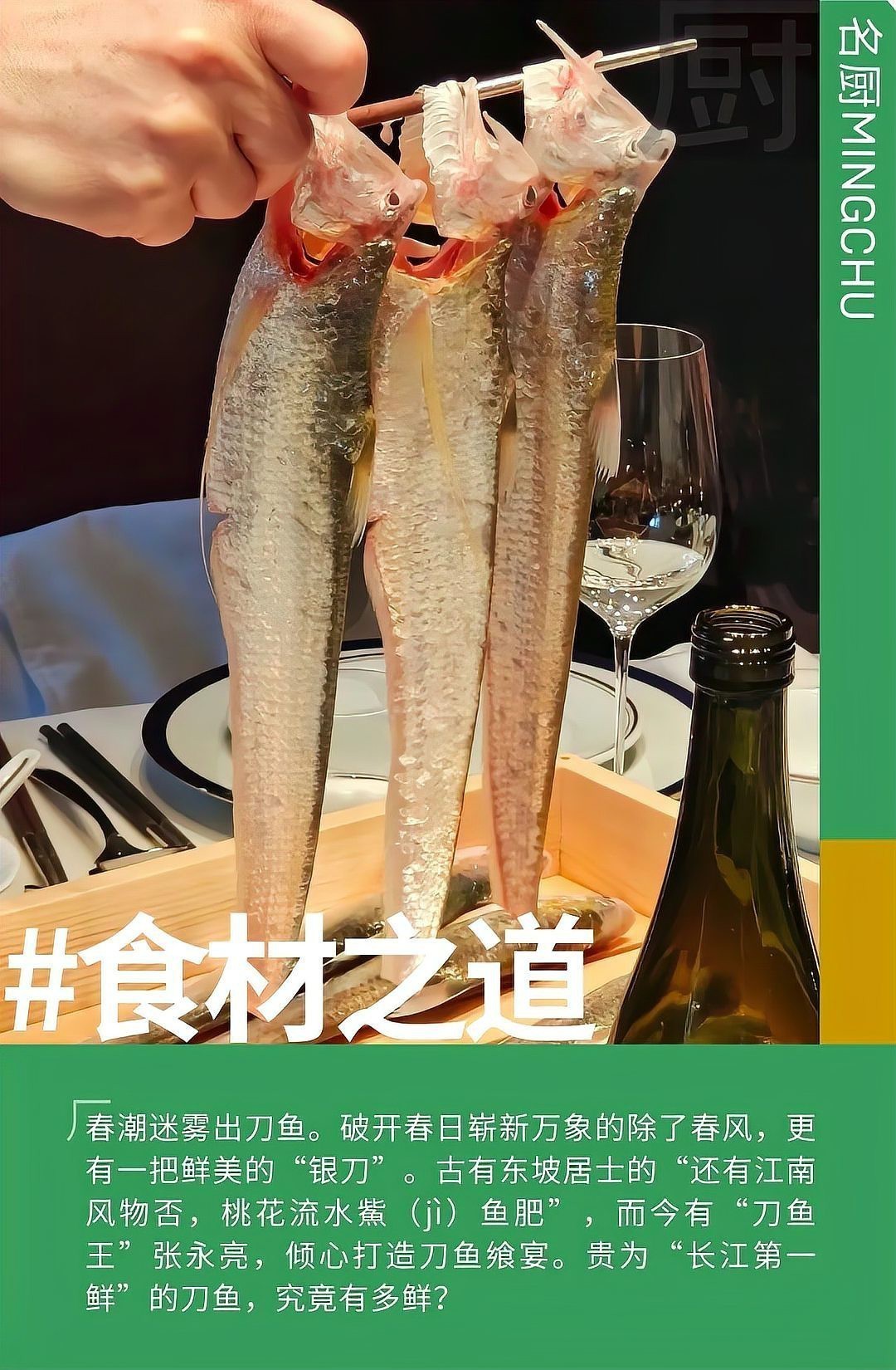 刀魚有幾種品種 刀魚有幾種品種 龍魚論壇 第4張