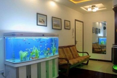 底過濾魚缸最高水位（底濾魚缸安全設計的重要性了解魚缸安全設計的重要性）
