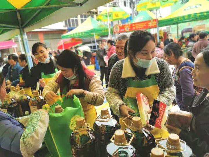 道道全和金龍魚哪個好 道道全和金龍魚哪個好 龍魚論壇 第3張