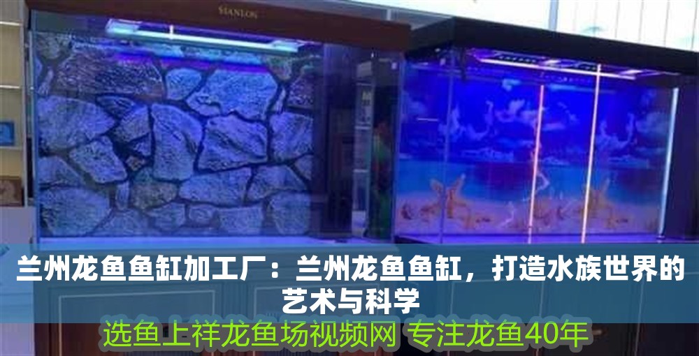 蘭州龍魚魚缸加工廠：蘭州龍魚魚缸，打造水族世界的藝術(shù)與科學(xué) 蘭州龍魚魚缸加工廠：蘭州龍魚魚缸，打造水族世界的藝術(shù)與科學(xué) 魚缸百科 第1張