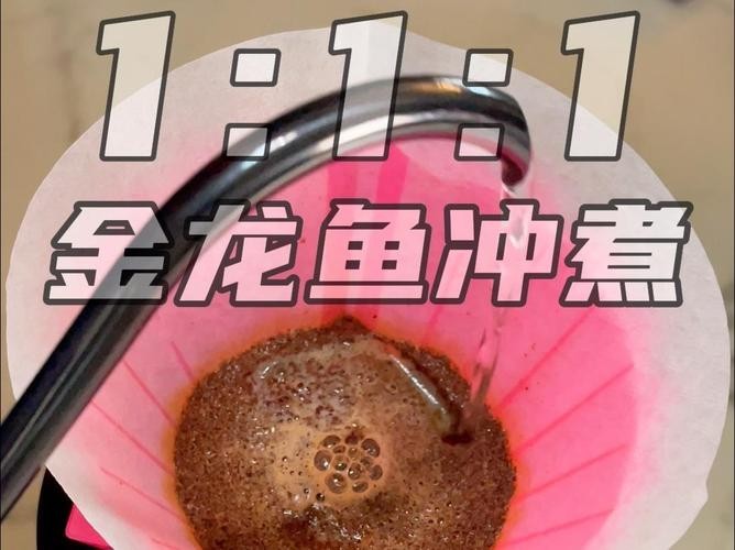 冠軍金龍魚