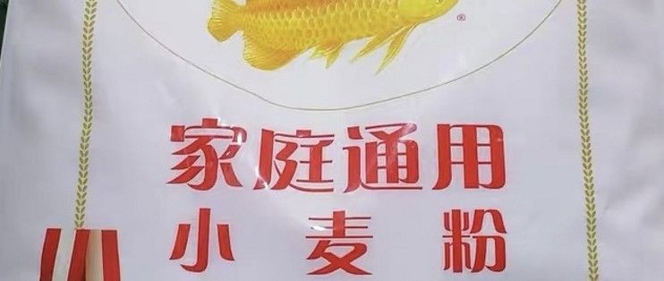 那種金龍魚貴又好吃：金龍魚價格