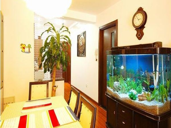 農村客廳魚缸怎么擺放旺財（農村客廳魚缸怎么擺放旺財，農村客廳魚缸擺放風水） 農村客廳魚缸怎么擺放旺財（農村客廳魚缸怎么擺放旺財，農村客廳魚缸擺放風水） 魚缸百科 第2張