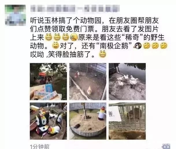 發魚缸里的魚的朋友圈（發魚缸里的魚的朋友圈文字和靈感）