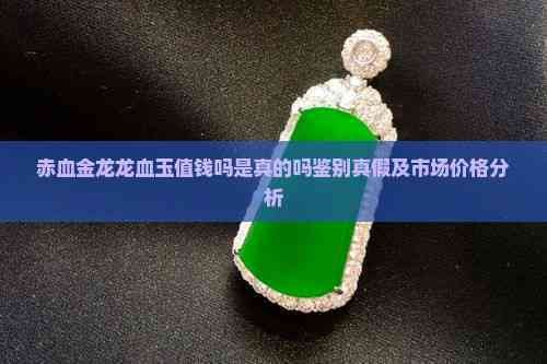 赤血金龍有哪些收藏價值？