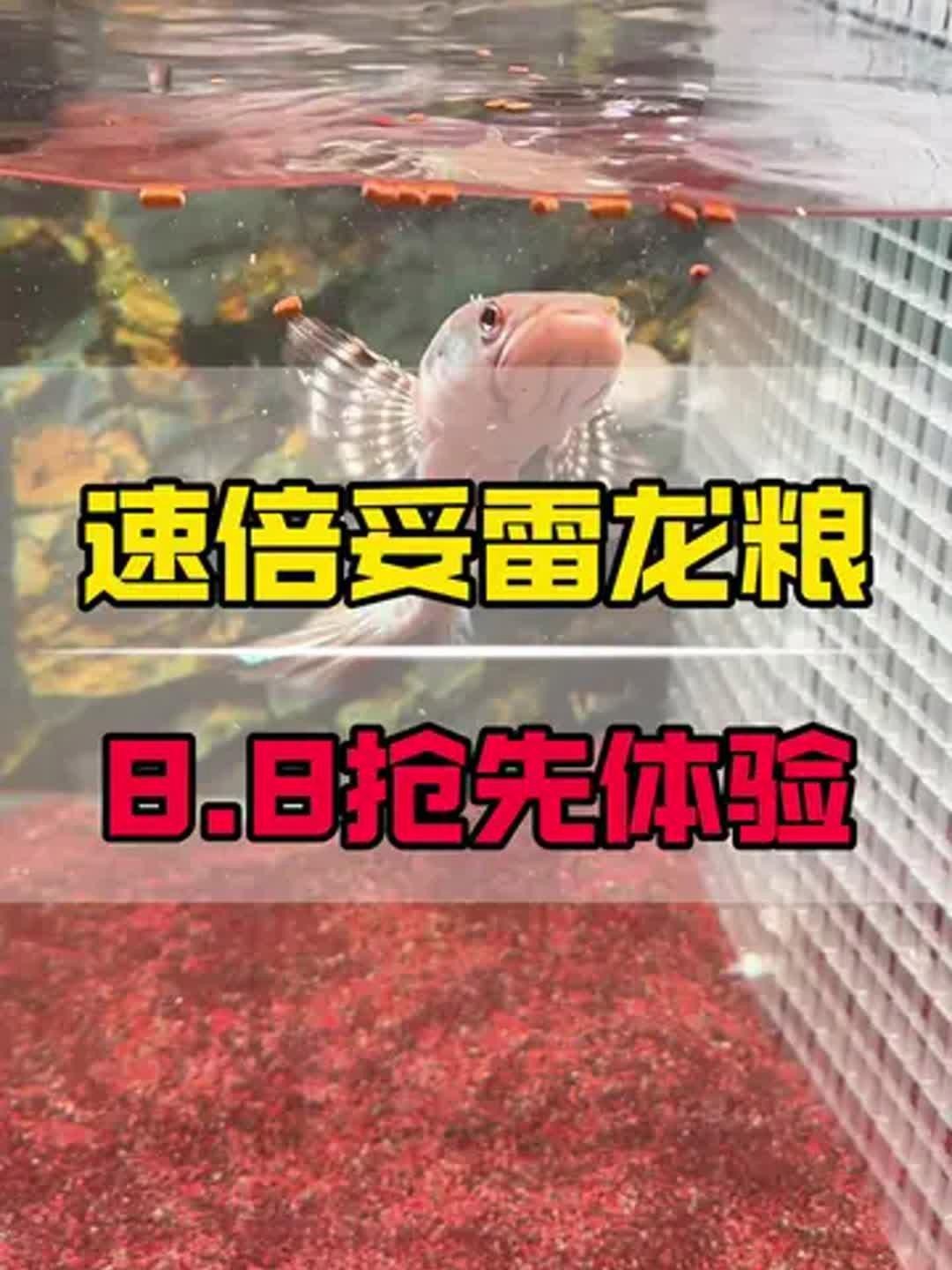 仟湖OFG2系列和速倍妥哪個更好？