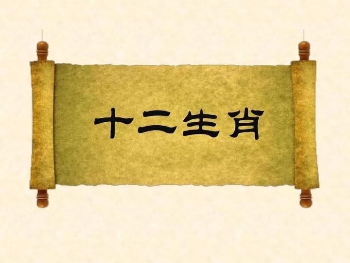 龍魚最適合哪個屬相養 龍魚最適合哪個屬相養 2025長城杯龍魚大賽 第4張