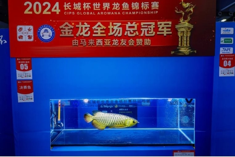 長城杯世界龍魚錦標賽特殊組冠軍