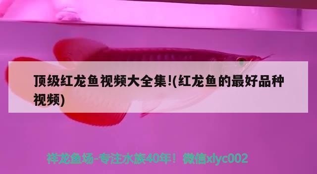 華潤萬家生活超市（廣州）有限公司清遠中恒公園店（華潤萬家清遠店地址）