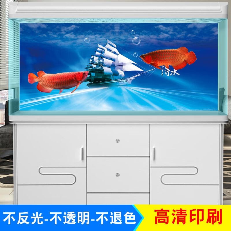魚缸背景圖怎樣貼：如何正確的貼魚缸背景圖
