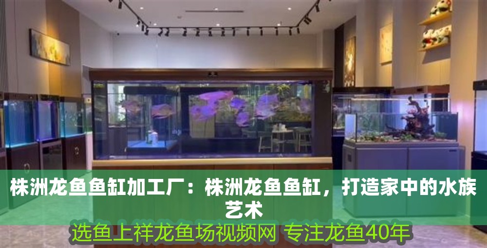 株洲龍魚魚缸加工廠：株洲龍魚魚缸，打造家中的水族藝術 株洲龍魚魚缸加工廠：株洲龍魚魚缸，打造家中的水族藝術 魚缸百科 第1張