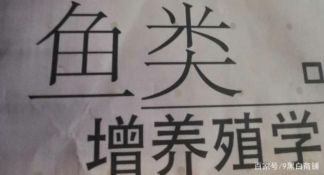 株洲龍魚魚缸加工廠：株洲龍魚魚缸，打造家中的水族藝術 株洲龍魚魚缸加工廠：株洲龍魚魚缸，打造家中的水族藝術 魚缸百科 第3張