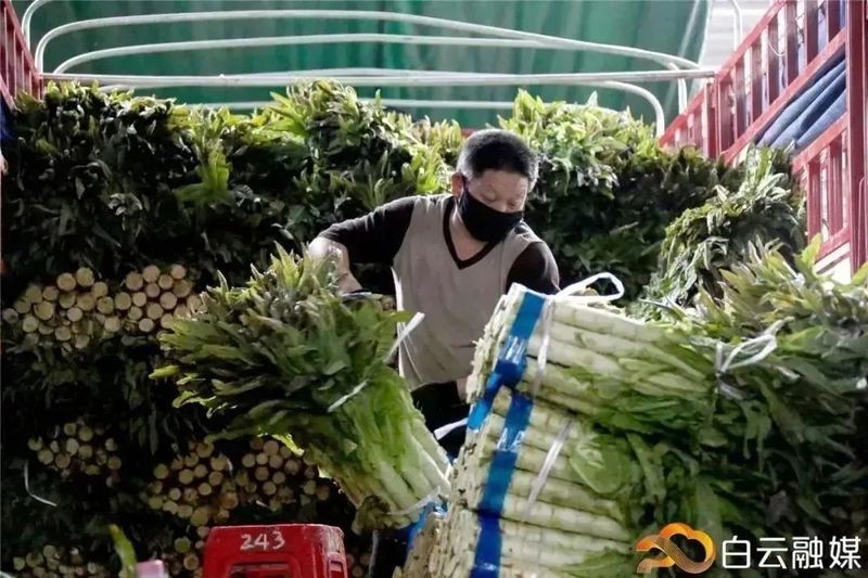 2023年廣州龍魚批發(fā)市場有搬遷計劃嗎？